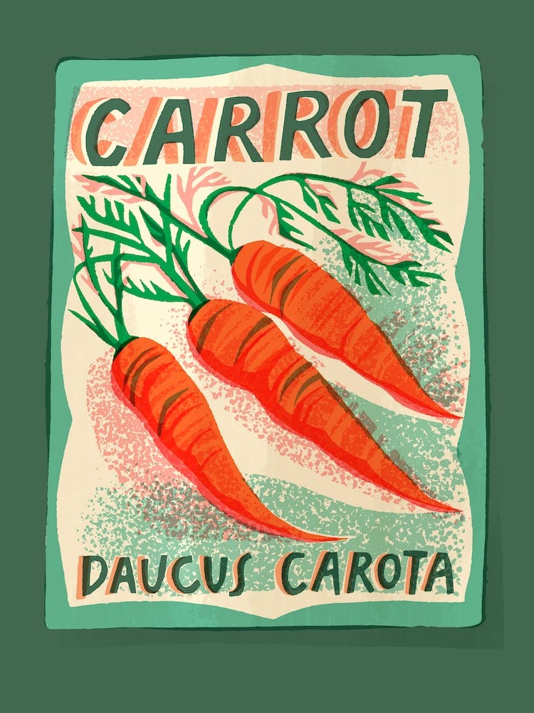 Carrot Seed Packet