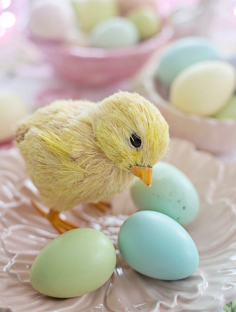 Easter Chick 9