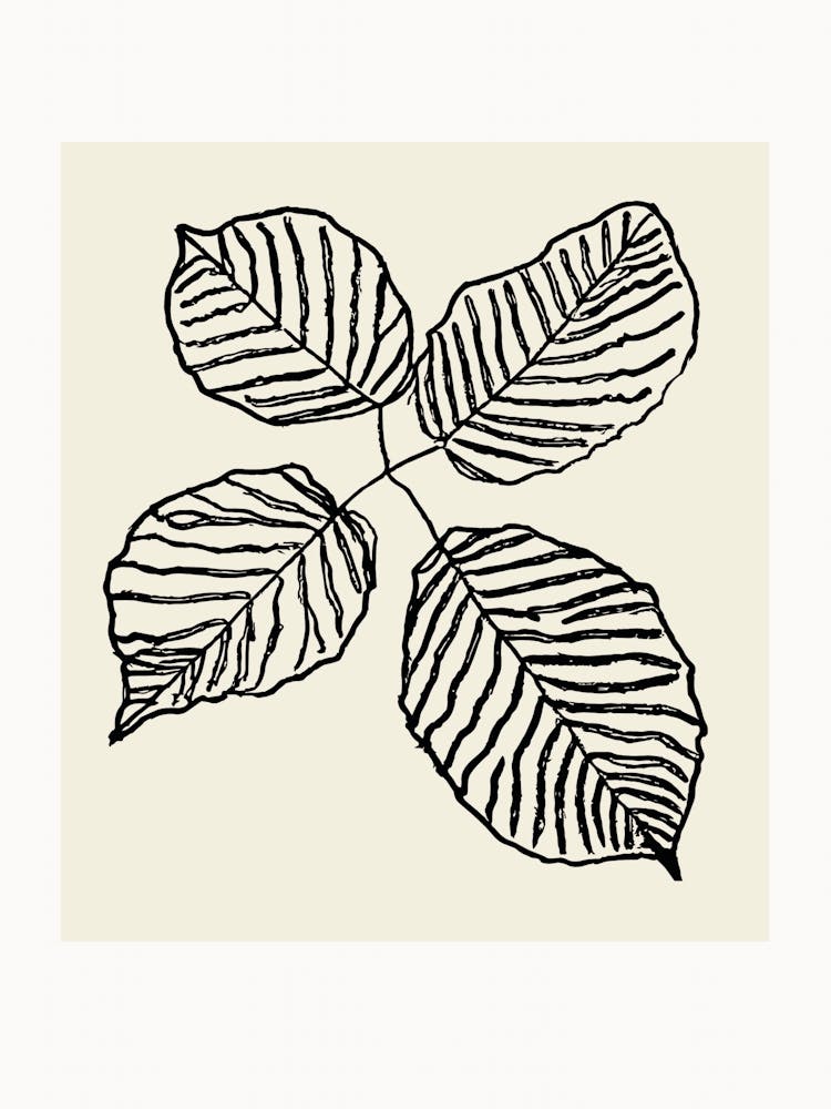 Botanica line no 21