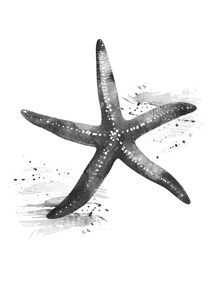 Starfish Watercolor Painting 3