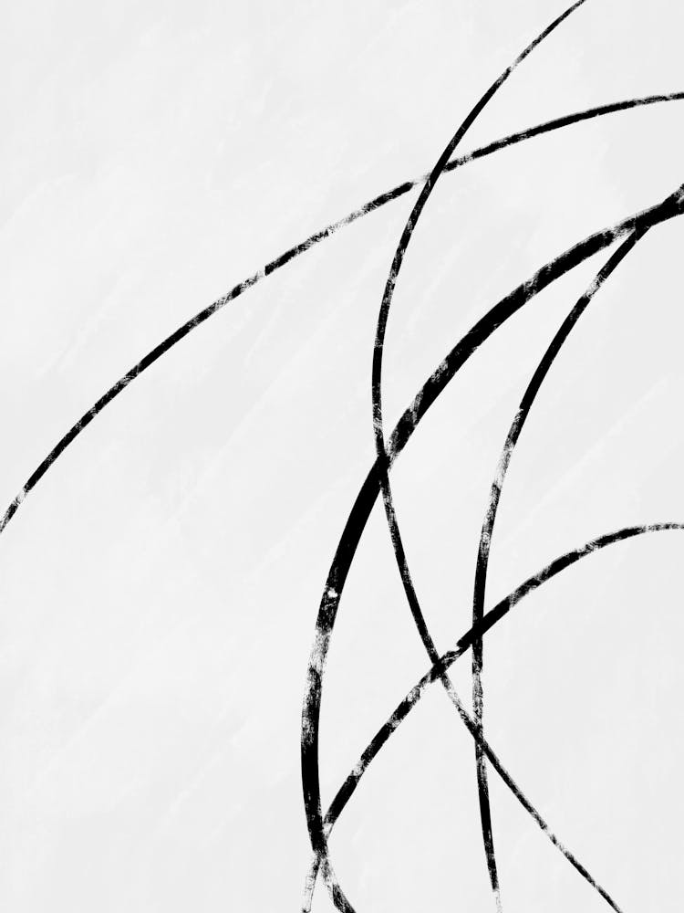 Black And White Abstract Painting 13