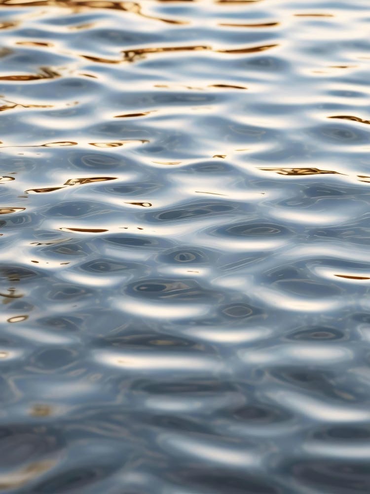 Water Ripples 2