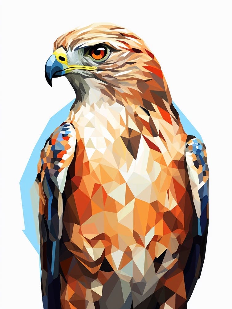 Bunter Geometrischer Vogel Rotschwanzbussard 2