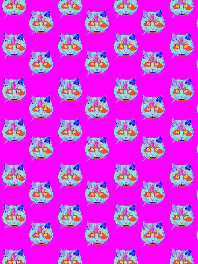 Colourful Kitty Pattern