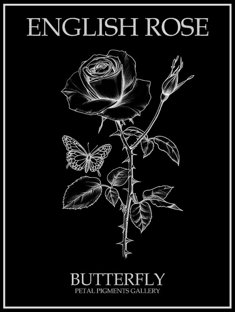 English Rose Butterfly Line Drawing 1 Poster Inverted