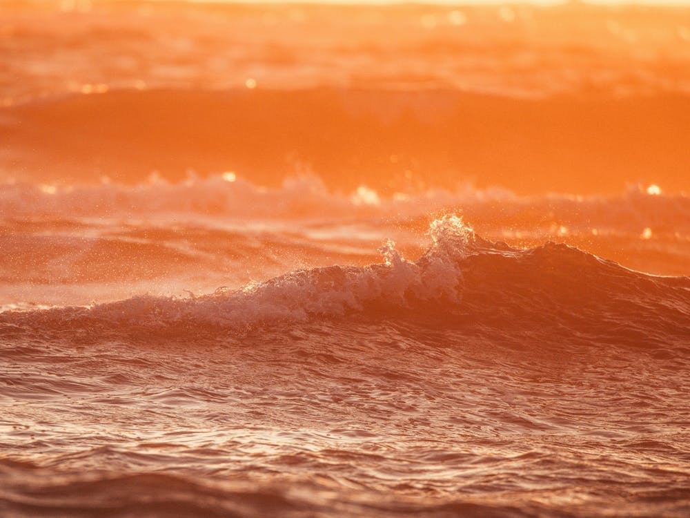 تصميم بدون عنوان 2023 11 29t173316