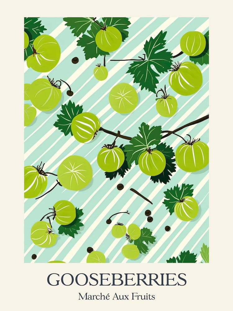 Marche Aux Fruits Gooseberries Fruit Summer Illustration 3