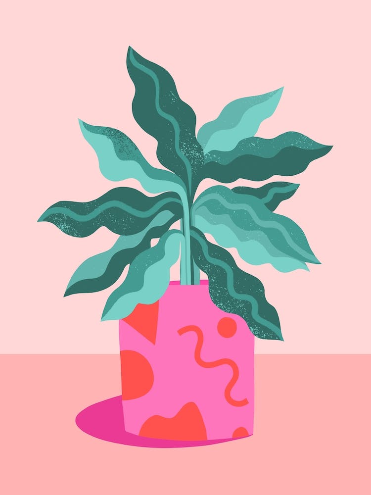 Abstract Plant