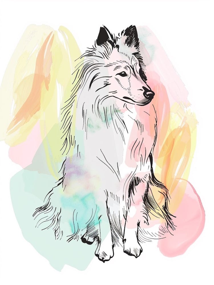 Shetland Sheepdog Dog Pastel Line Illustration  1