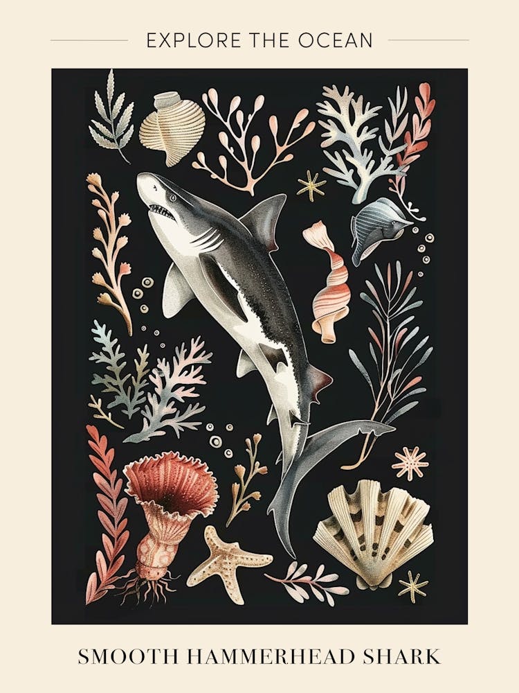Smooth Hammerhead Shark Black Background Illustration 1 Poster