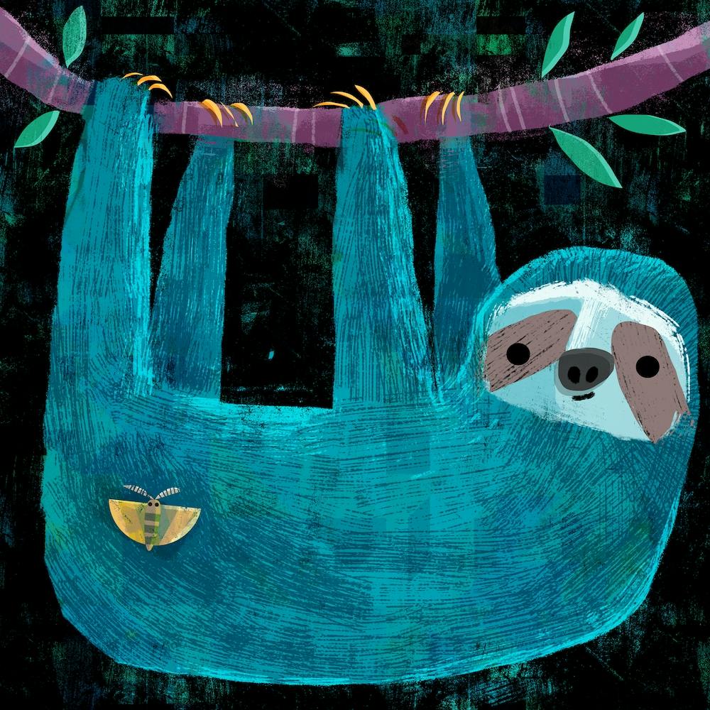 Sloth And The Moth Square