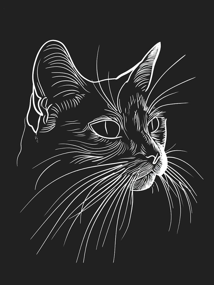 American Shorthair Cat Minimalist Illustration 1