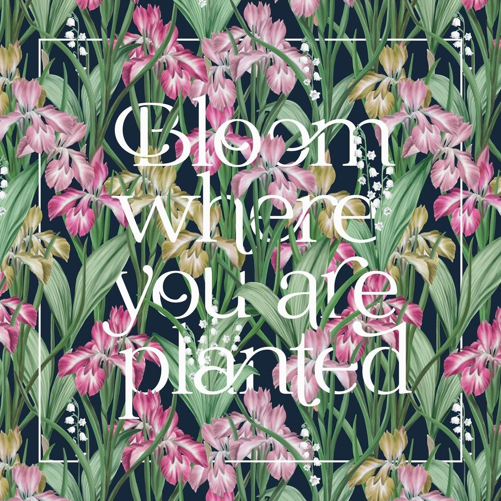 Bloom Where You Are Planted Botanical Iris Print