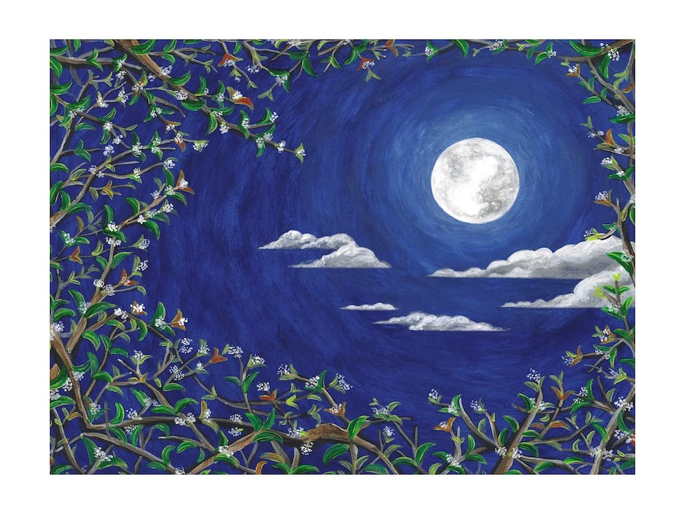 Osmanthus Moonlight Sonata No