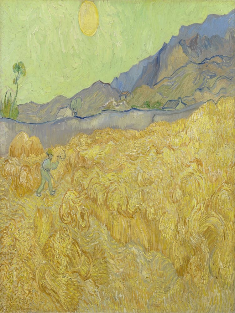 Field Of Wheat