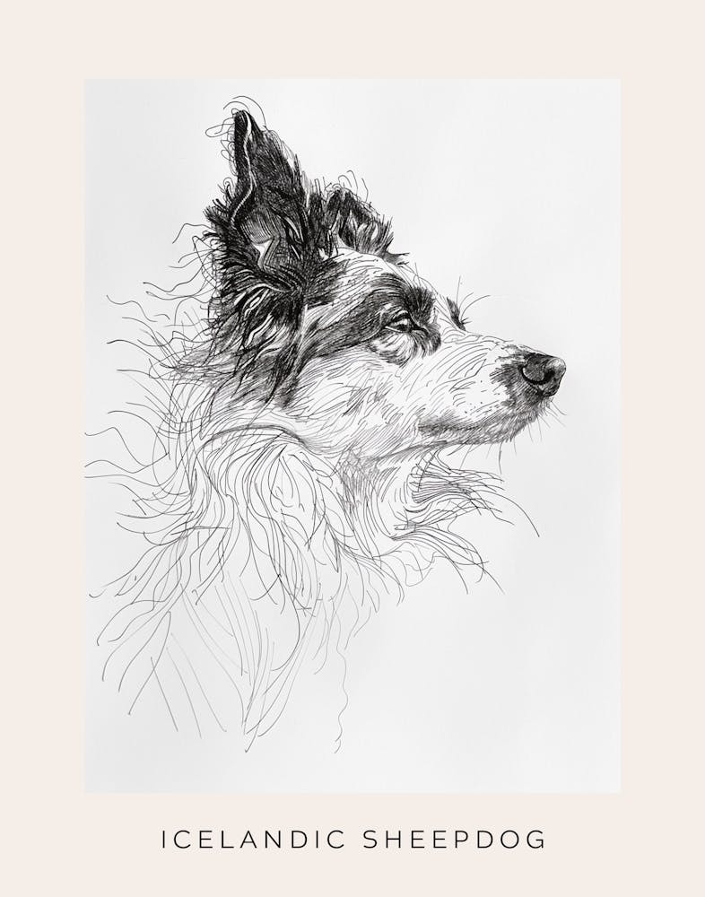 Isländischer Schäferhund Linienkunst 2 Poster