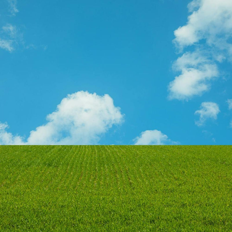 Green Field With Blue Sky 1