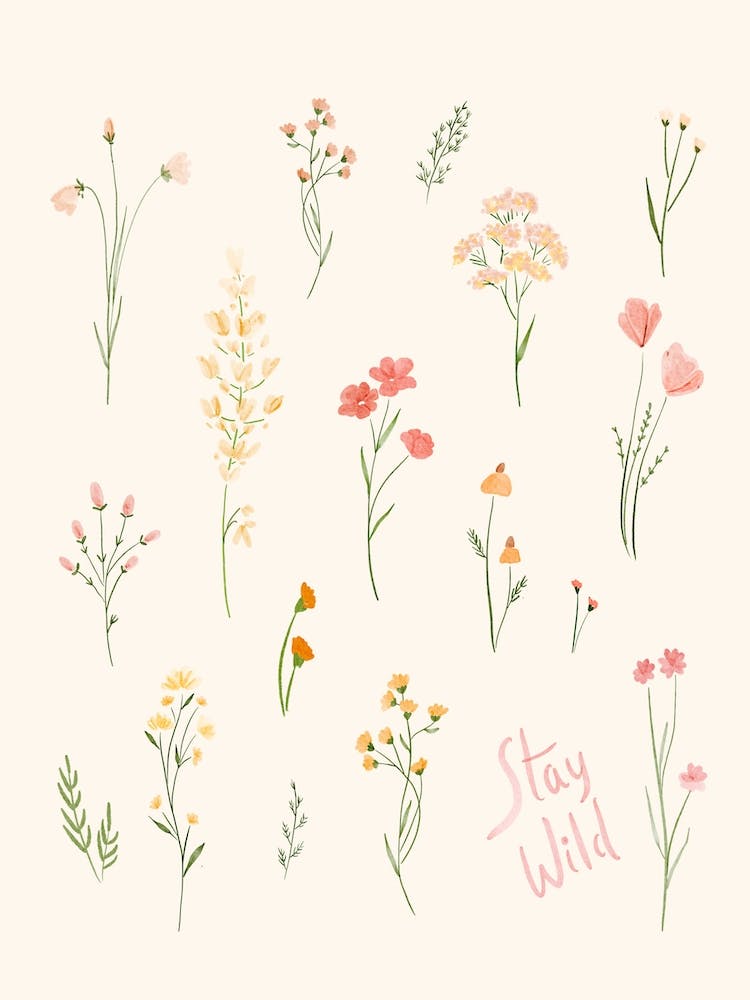 Wildflowers
