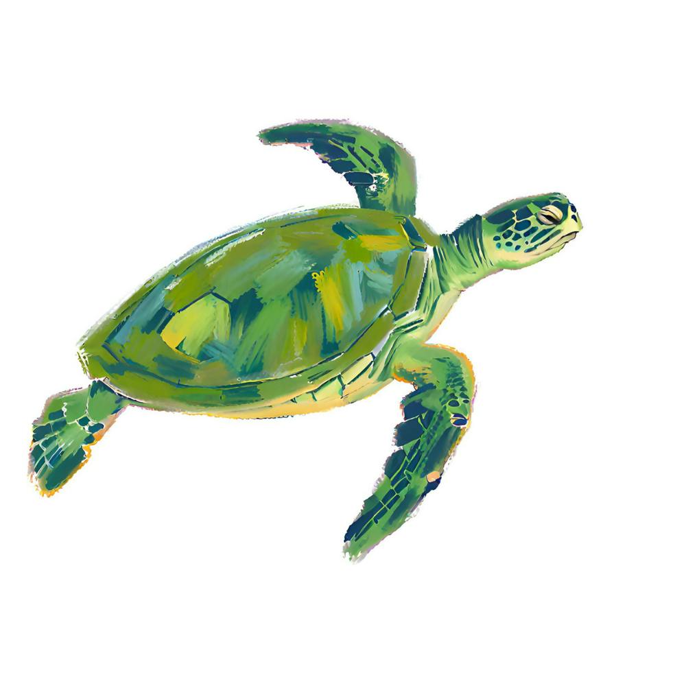 Green Sea Turtle 01