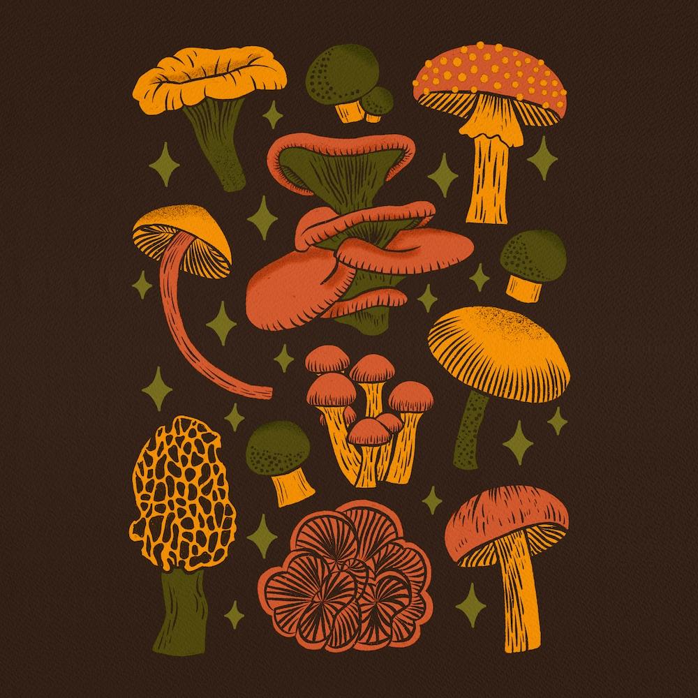 Texas Mushrooms   Dark Multicolor Square