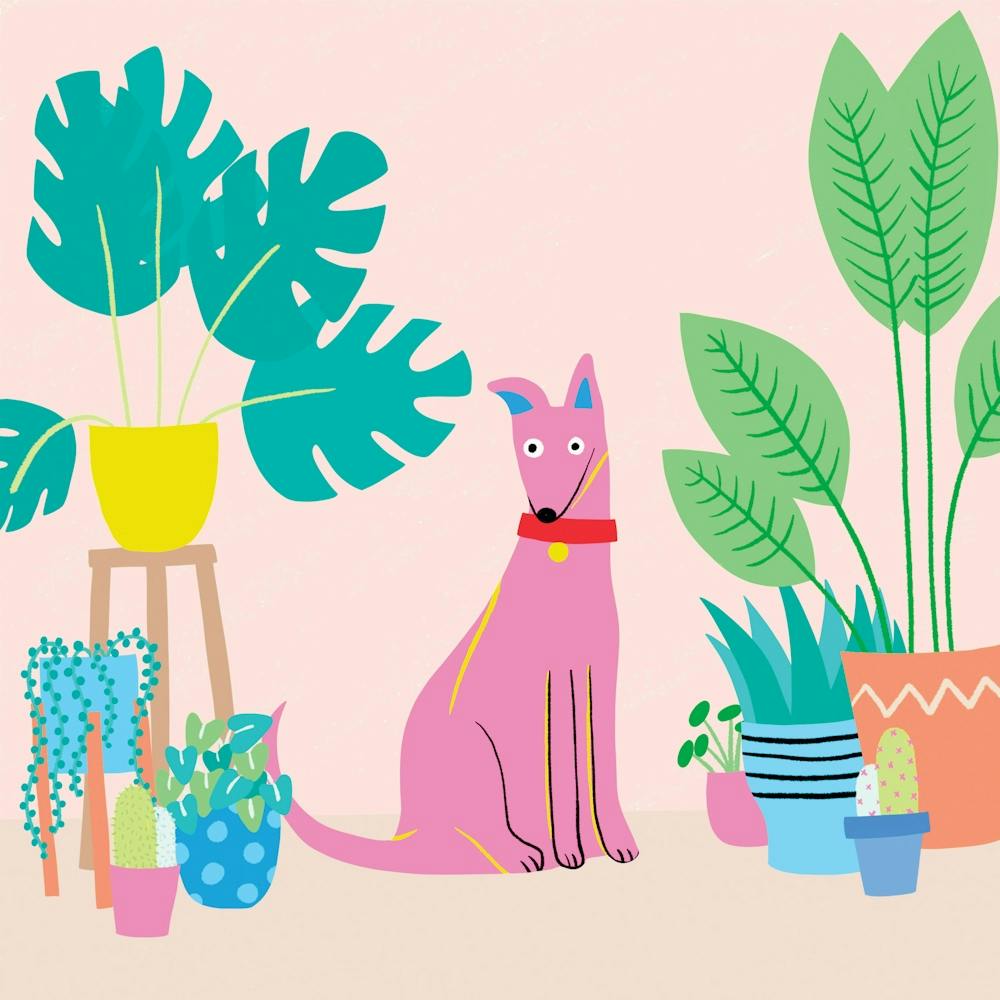 Dog And Plantscmyk
