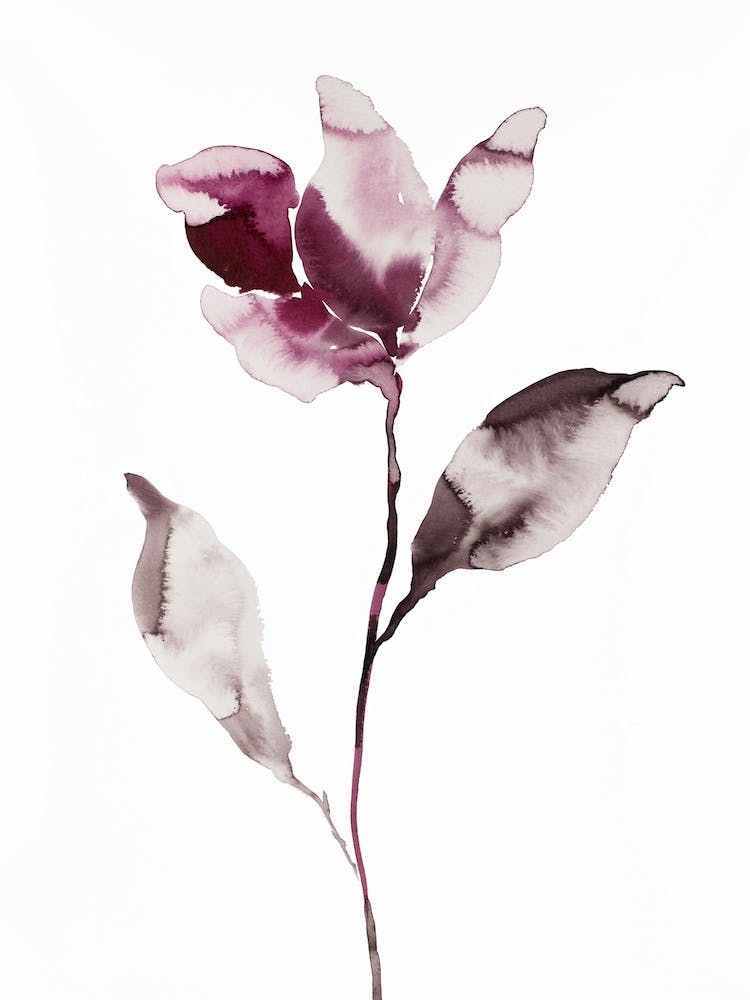 Magnolia 45