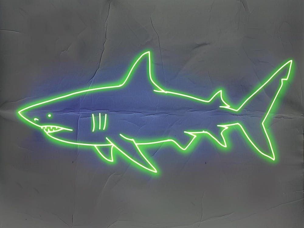 Neon Port Jackson Shark 3