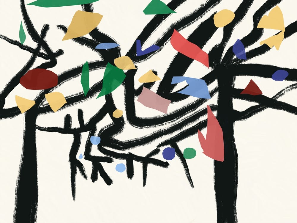 Trees along the drive way