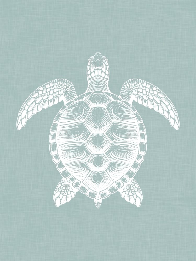 Vintage Sea Turtle Silhouette On Soft Green Linen Texture