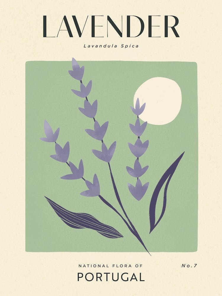 Vintage Green And Purple Lavender Flower Of Portugal