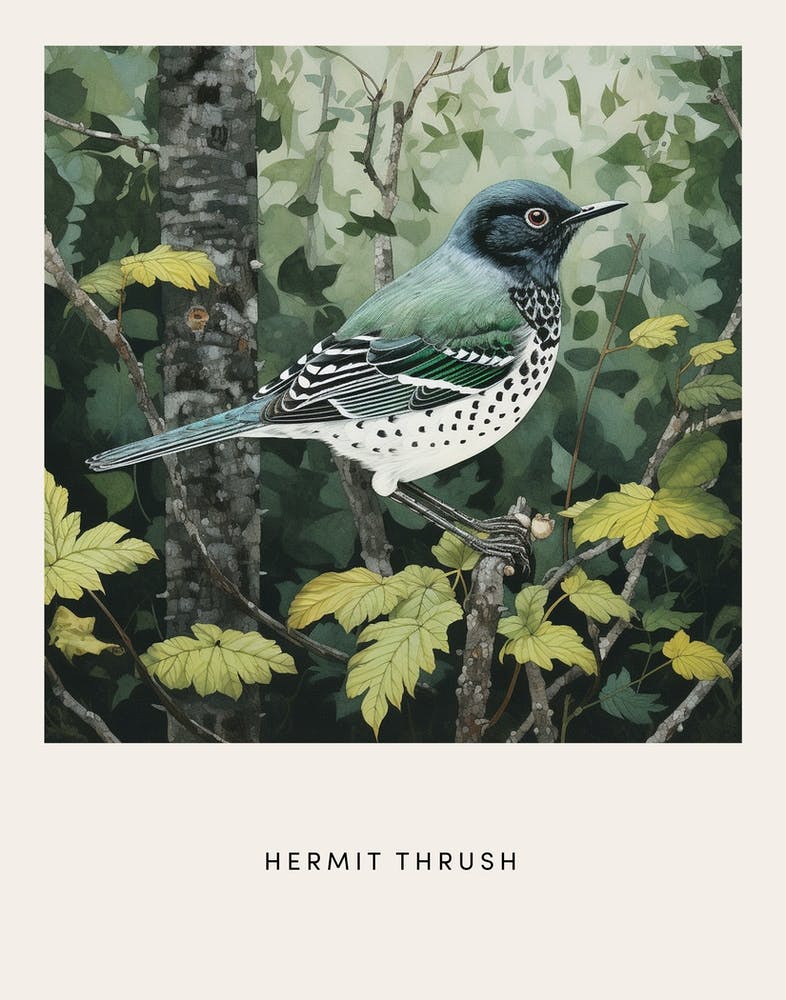 Ohara Koson Inspired Bird Painting Hermit Thrush 2 Poster