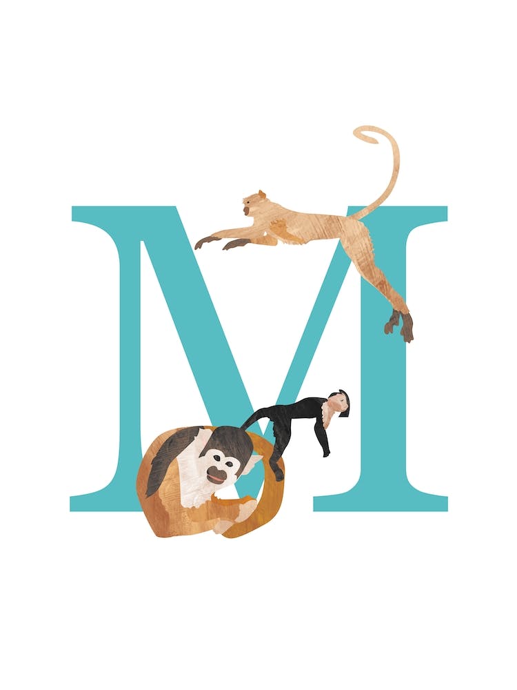 M Comme Singe
