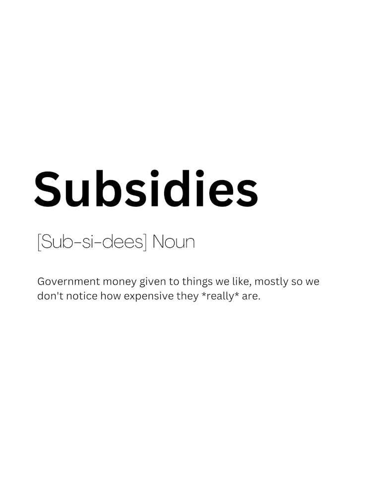 Subsidies Definition Meaning