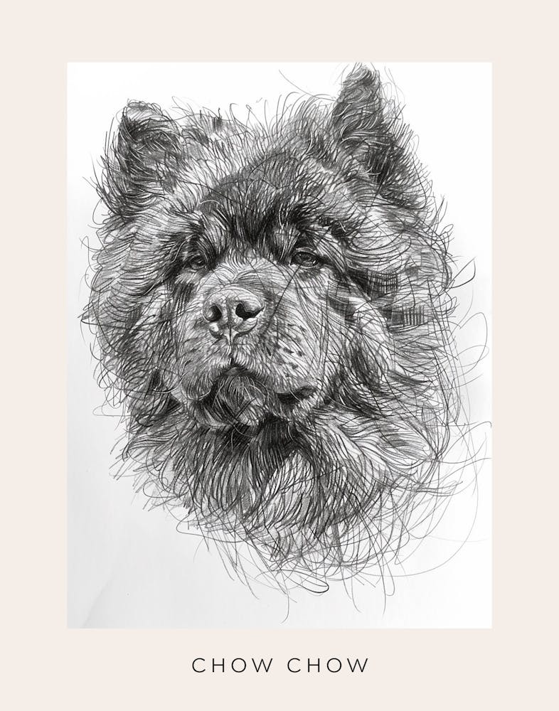 Chow Chow Hund Linien-Skizze 2 Poster