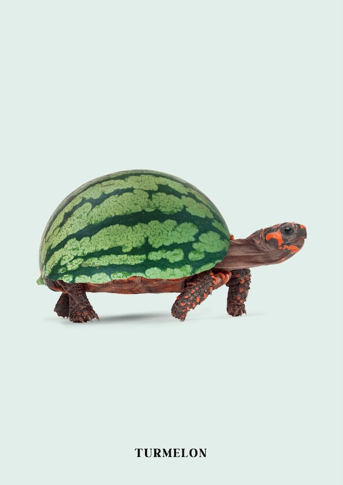 Turmelon Green & Brown