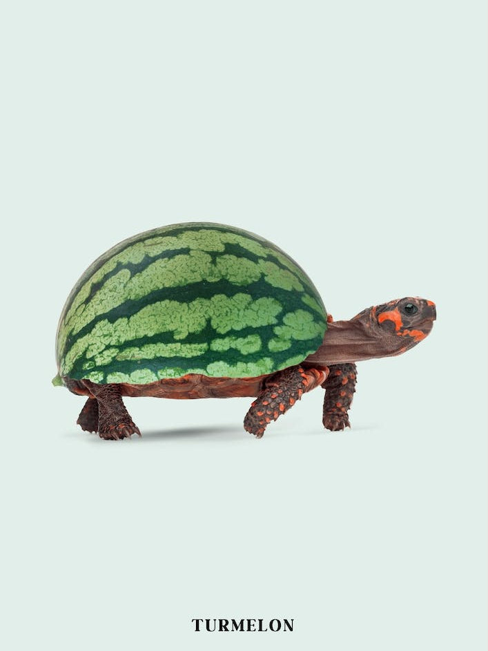 Turmelon Green & Brown