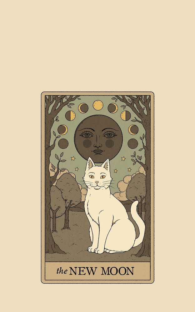 The New Moon   Cats Tarot