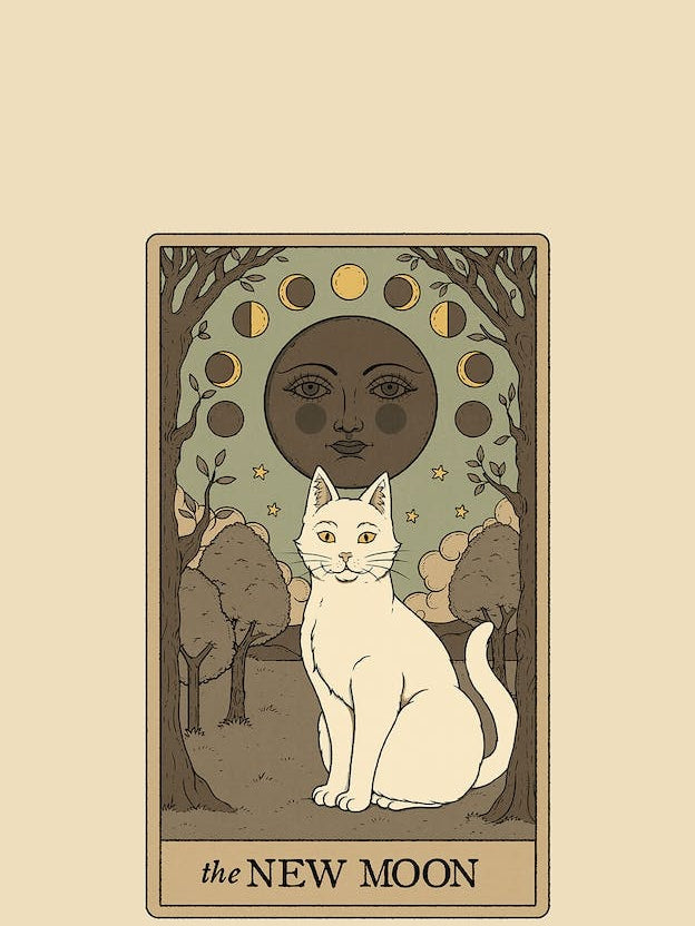 The New Moon   Cats Tarot