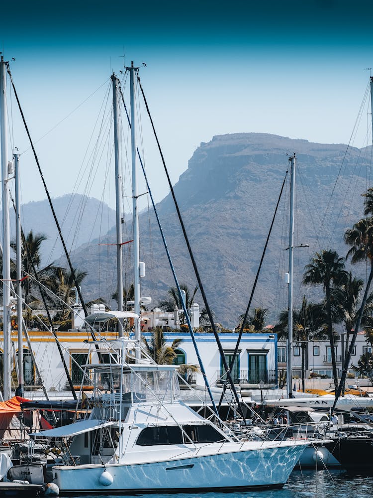 Sailboats In A Marina