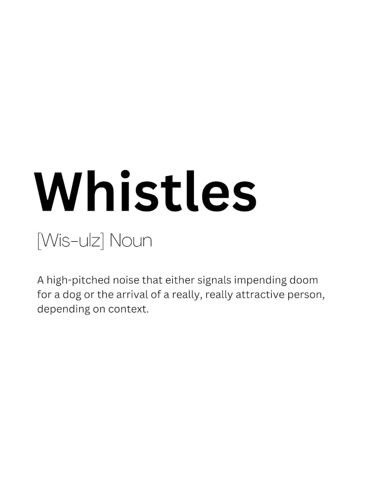 Whistles Definition Meaning