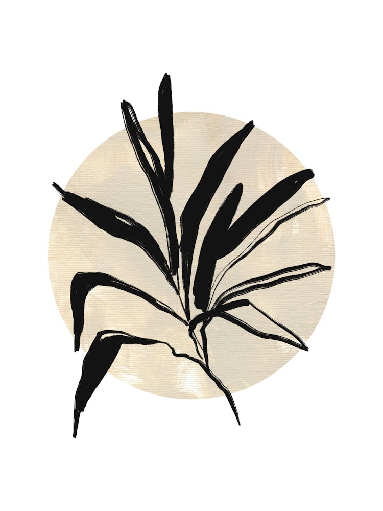 Plant In A Circle