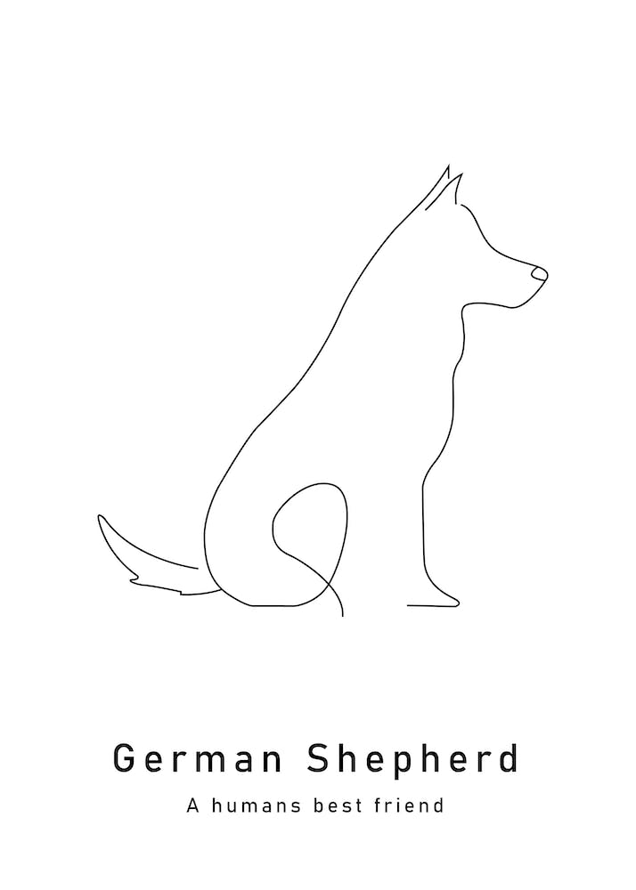 German Shephard