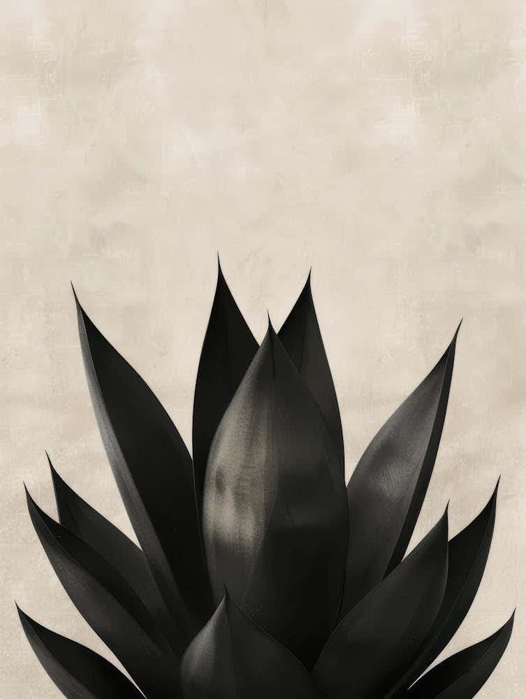 Black Agave