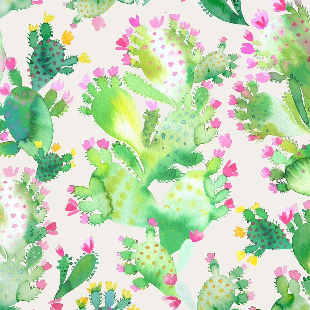 Succulent Cactus Soft Pink Square