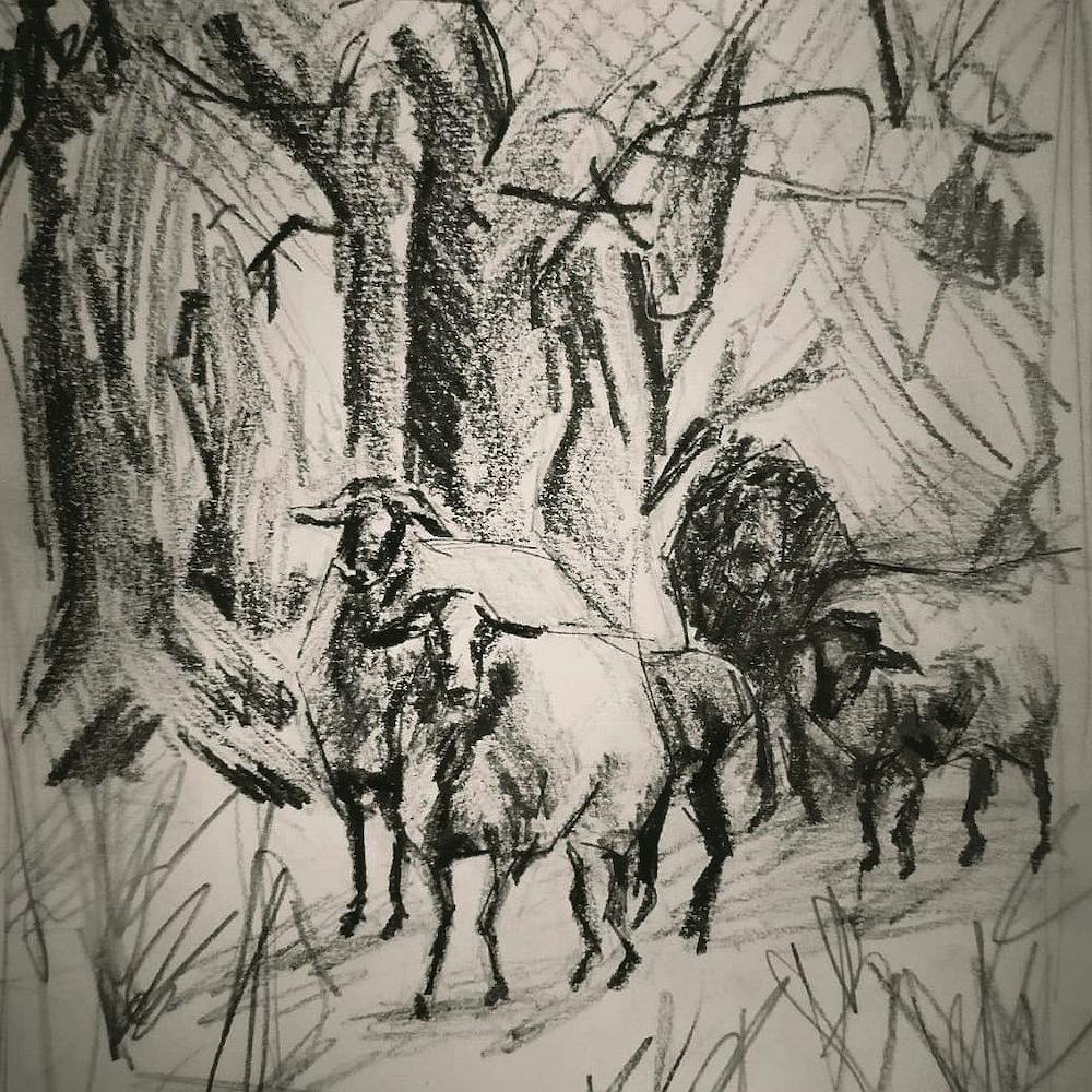 Sheep In The Woods