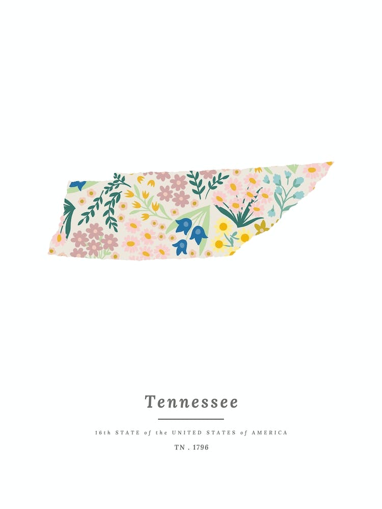 Tennessee | Wildflower Mix