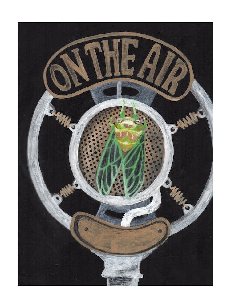 And So The Summer Begins