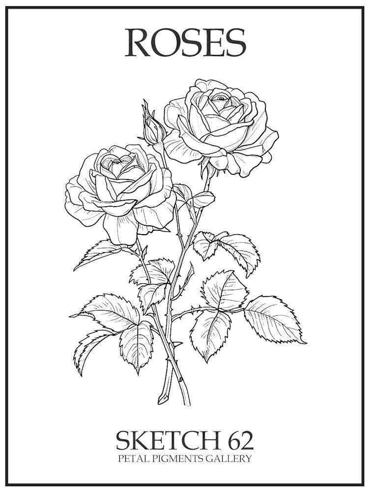 Roses Sketch 62 Poster