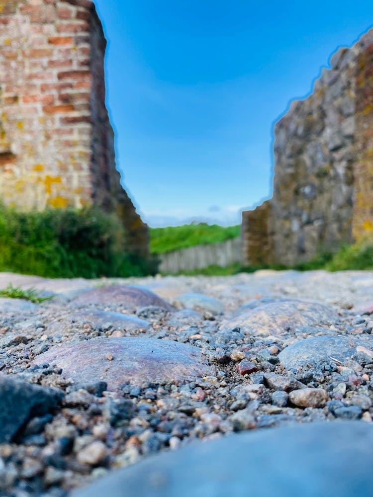 1cdca0d9 C411 4144 9141 71ed52940c43