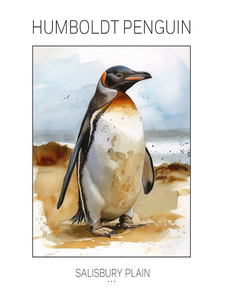 Humboldt Penguin Salisbury Plain Watercolour Painting 2 Poster